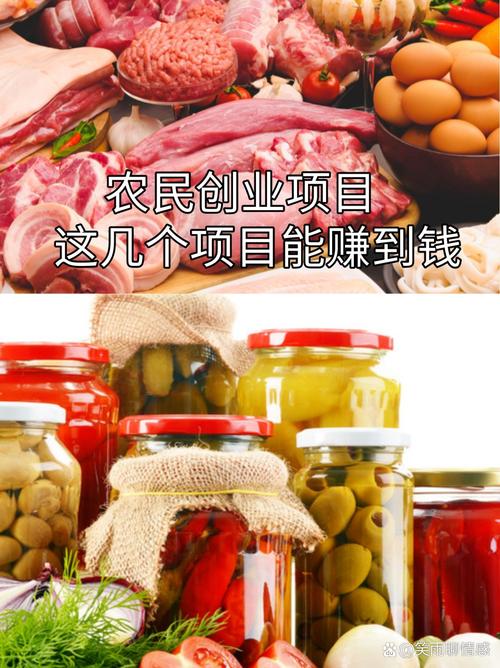 在家办厂项目,办厂创业好项目