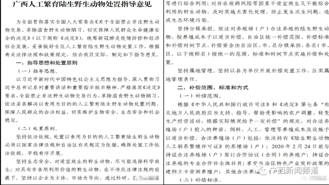 北海传销最新消息2025