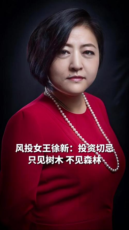 风投女王徐新