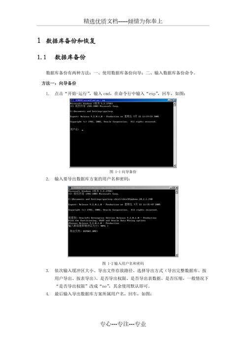 用oracle软件导入数据