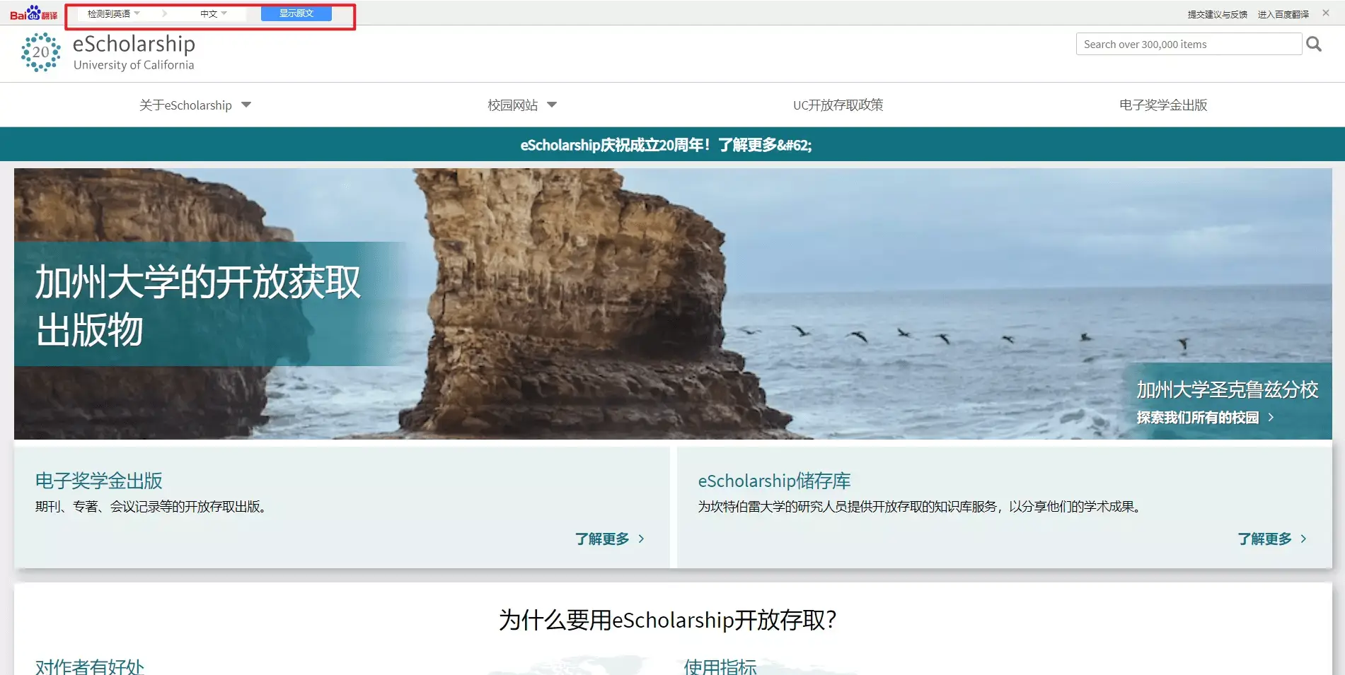 网页即时翻译插件