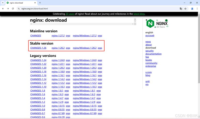 Linux x86 上安装 Oracle 数据库 10