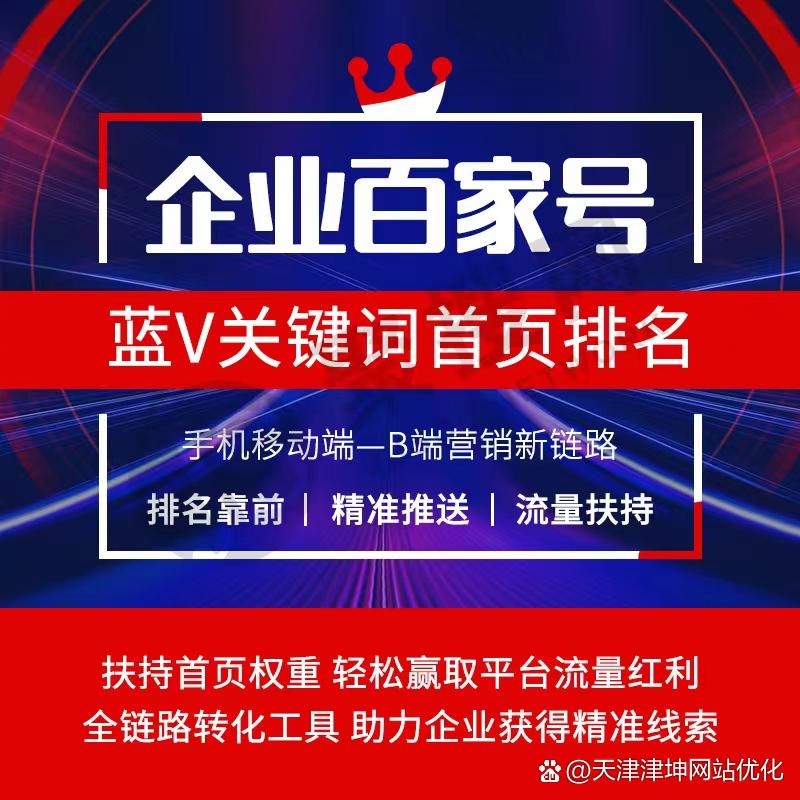天津网络推广公司