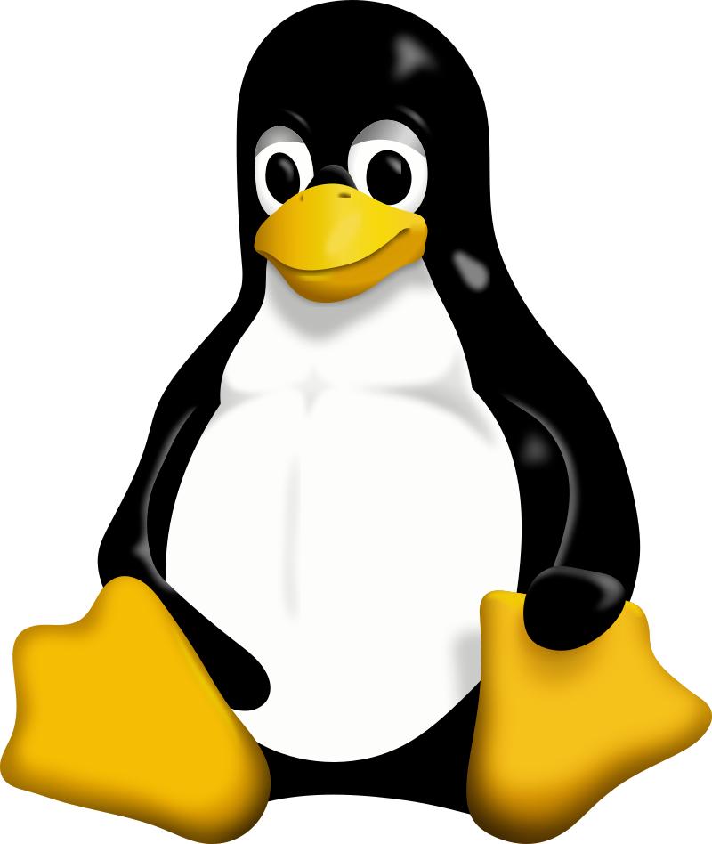 linuxmint php