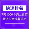 快速排名seo工具有哪一些