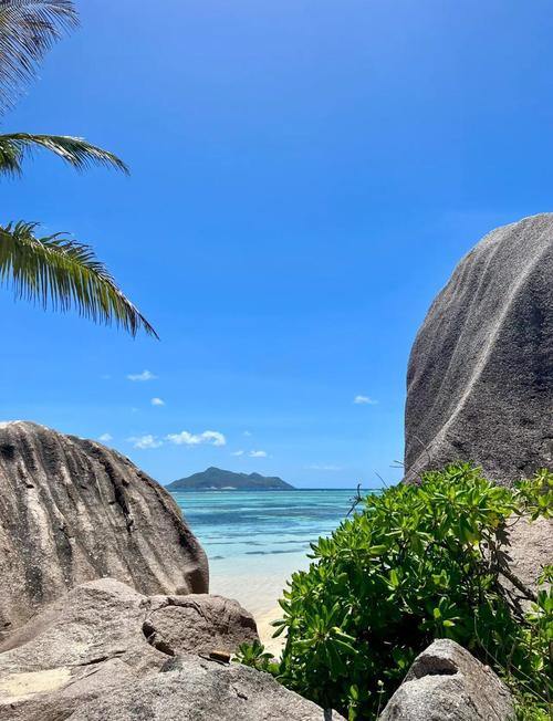 塞舌尔我去了,你还在等吗？(Bird Island)