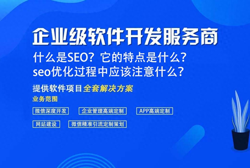 什么是SEO？它的特点是什么？ seo优化过程中应该注意什么？