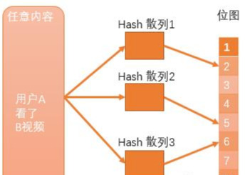 functionexists php