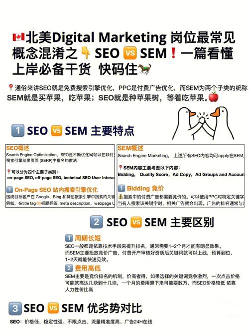 网站seo优化效果