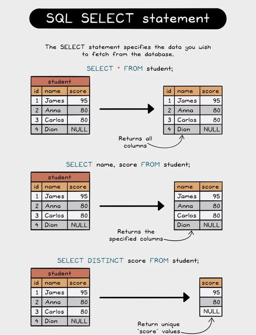 SQL语句创建SQLServer数据库和表(附标准答案).doc