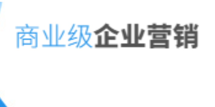 搜索引擎营销分两种:seo与ppc