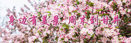 【政策“直通车”】创业孵化平台政策