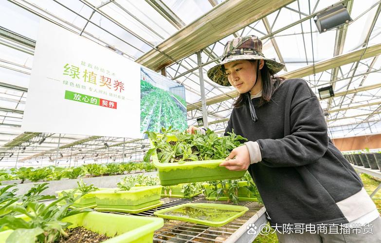 创业什么项目比较好