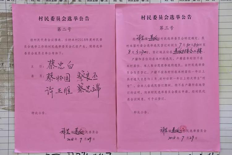 村委会换届选举流程