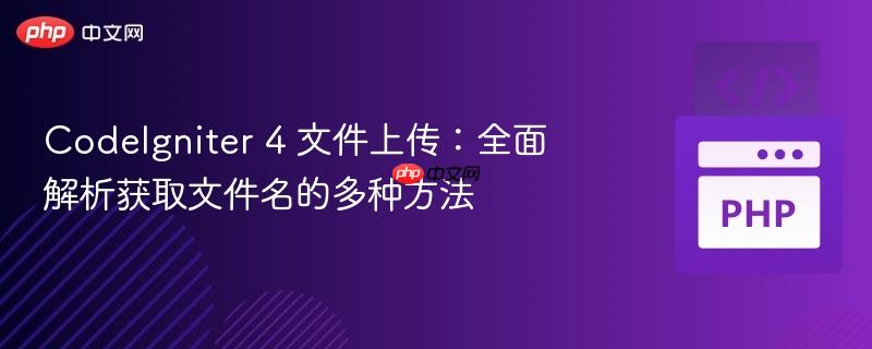 php echo html CodeIgniter 4 文件上传：全面解析获取文件名的多种方法