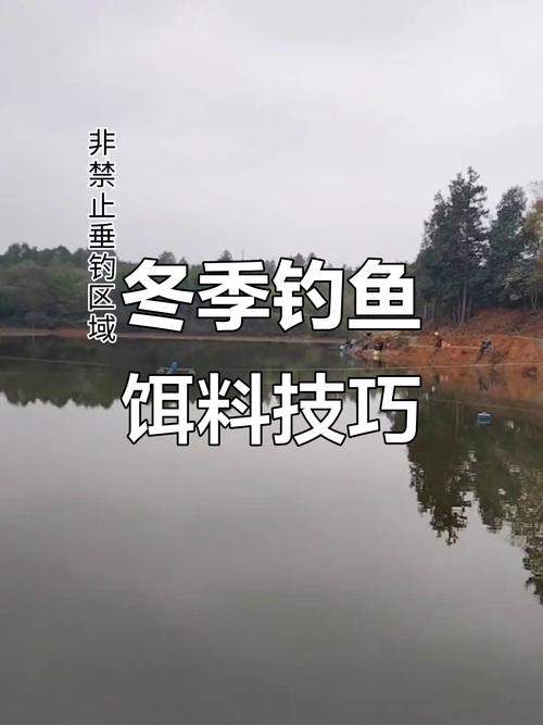 南方冬季江河钓鱼技巧