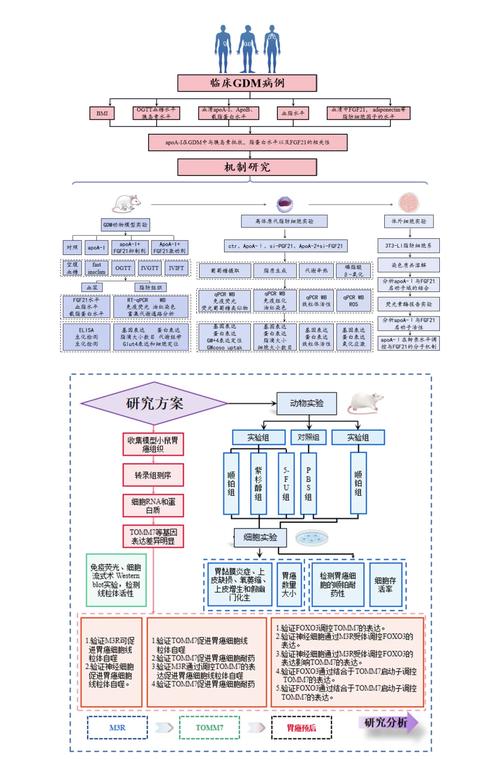 实验设计方法有什么