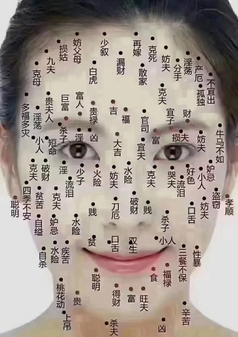 脸痣相图解大全女