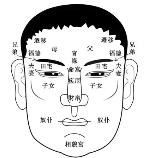 脸痣相图解大全女