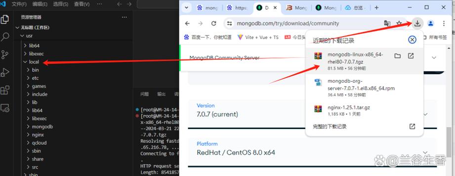 mongodb query
