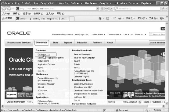 oracle 10g windows 下载