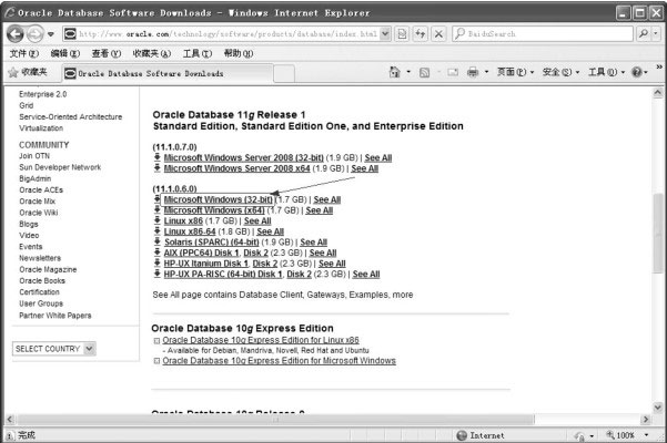 oracle 10g windows 下载
