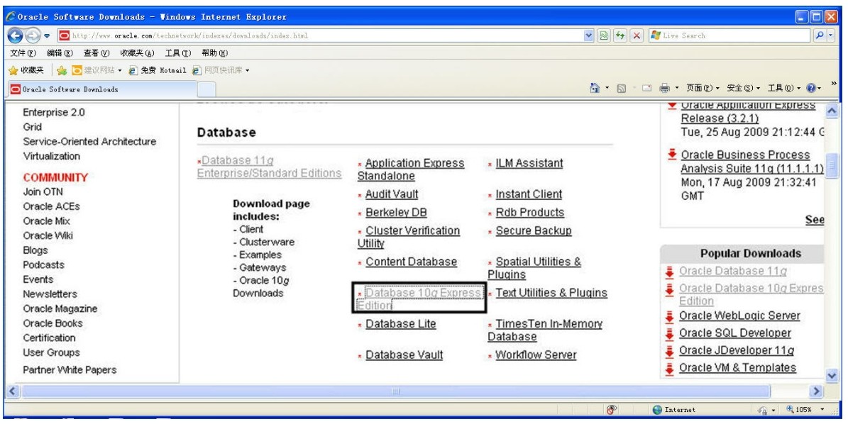 oracle 10g windows 下载