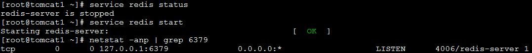 php redis