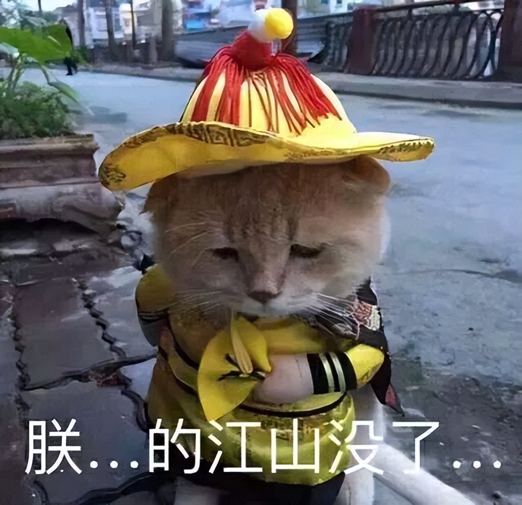 代理商标注册的公司靠什么赚钱
