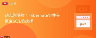 动态列映射：Hibernate实体与原生SQL的抉择