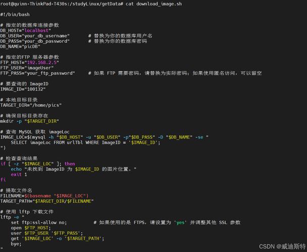sql语句脚本
