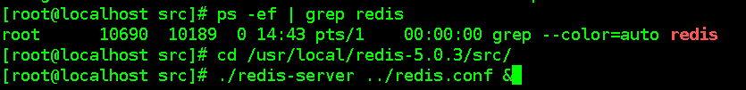 session redis