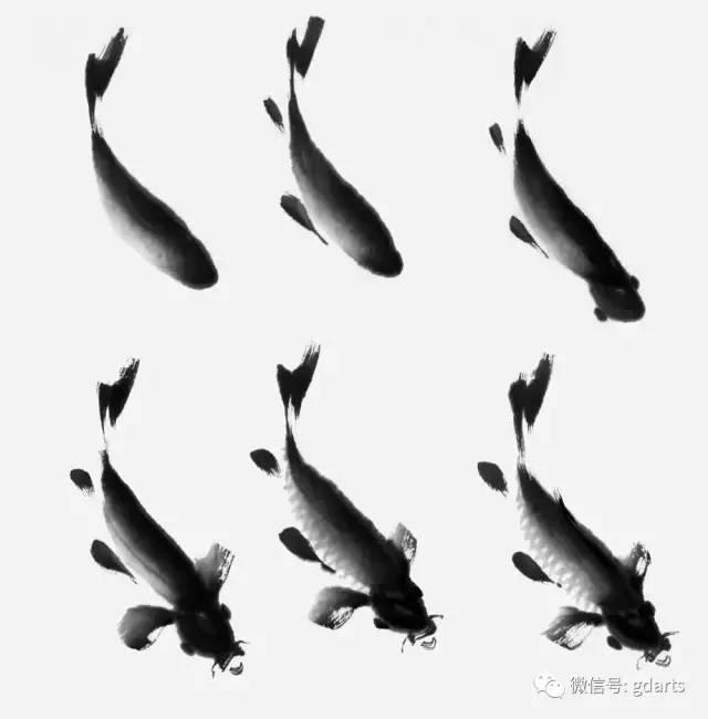张鹤云国画鲤鱼的画法