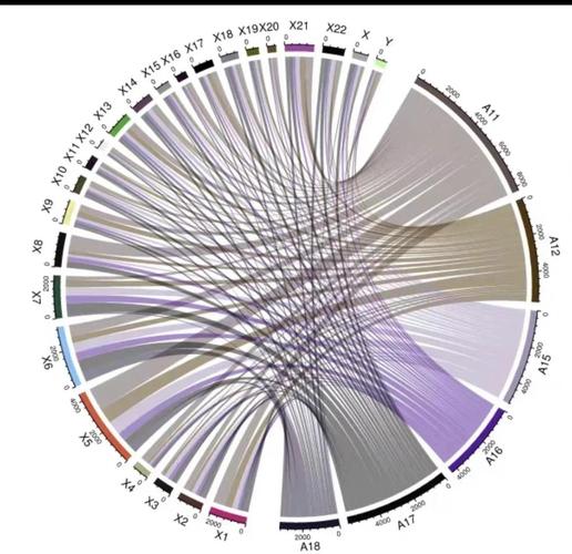 solarzoom database Solon详解（11）- Mybatis 与 Solon 相亲相爱