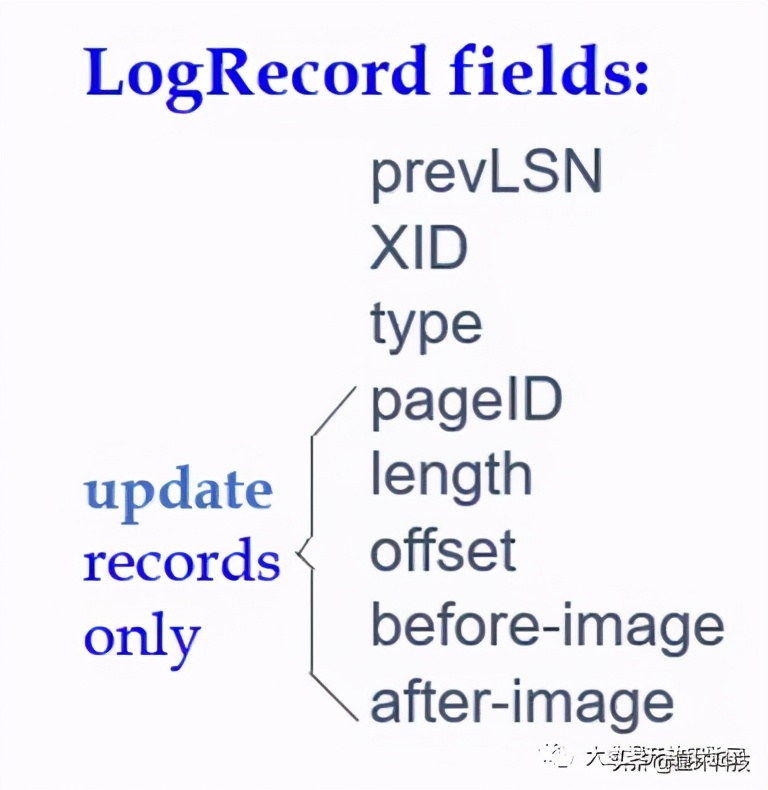 database management systems