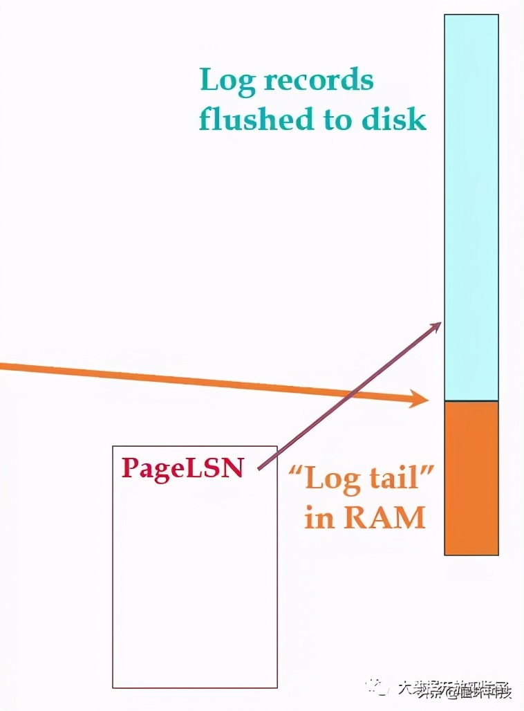 database management systems