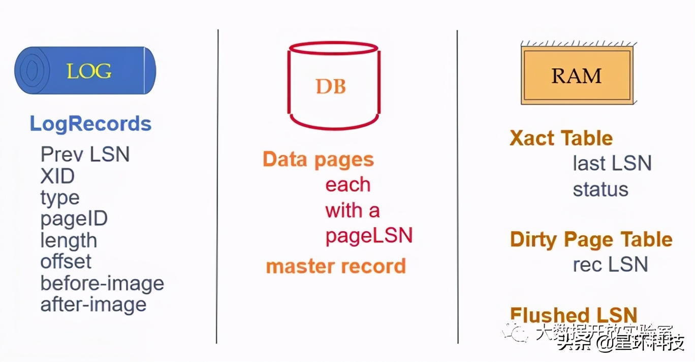 database management systems