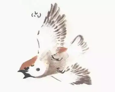 写意动感麻雀画法