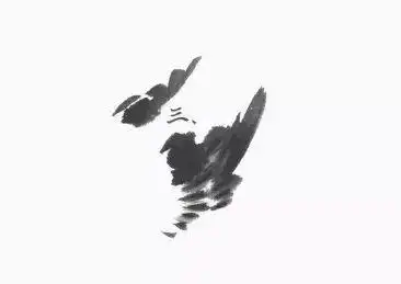 写意动感麻雀画法
