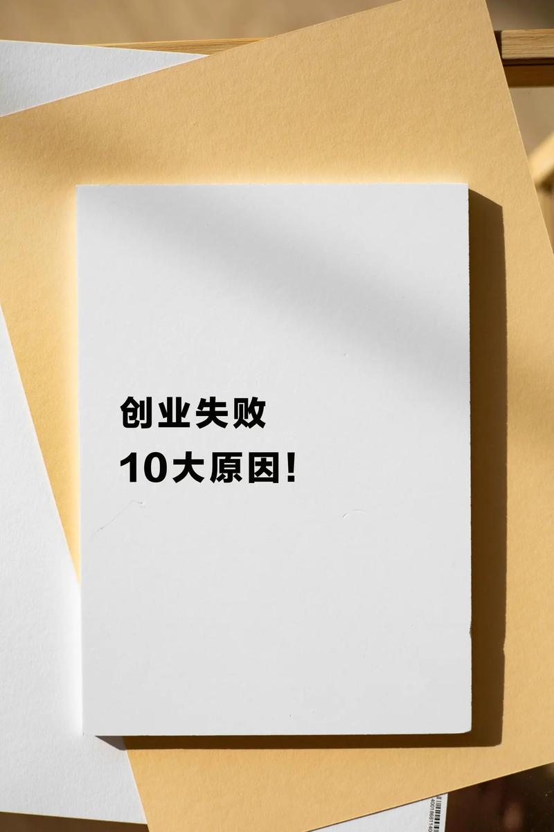 创业失败案例深度分析
