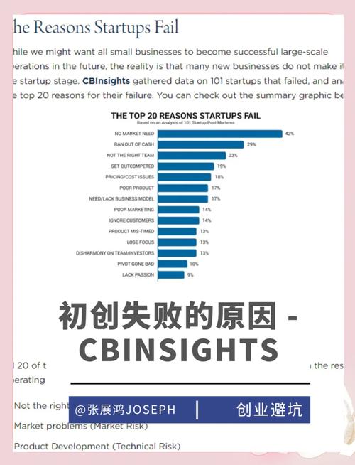 创业失败案例深度分析