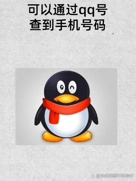 qq空间开始动画代码