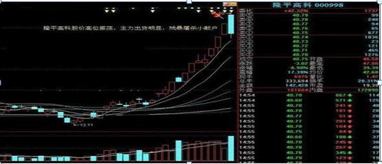散户有赚钱的吗