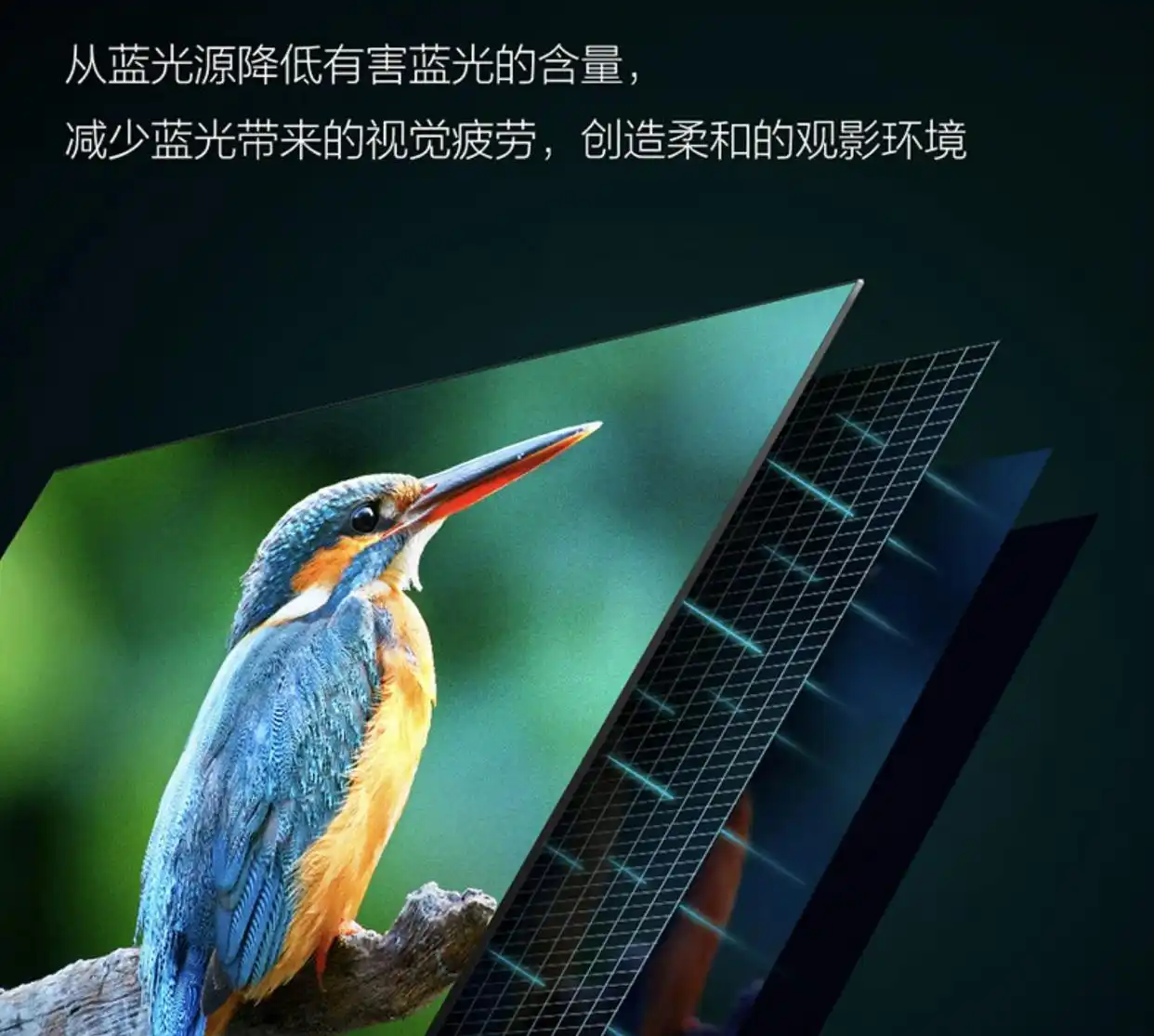 tcl屏幕电视机怎么样