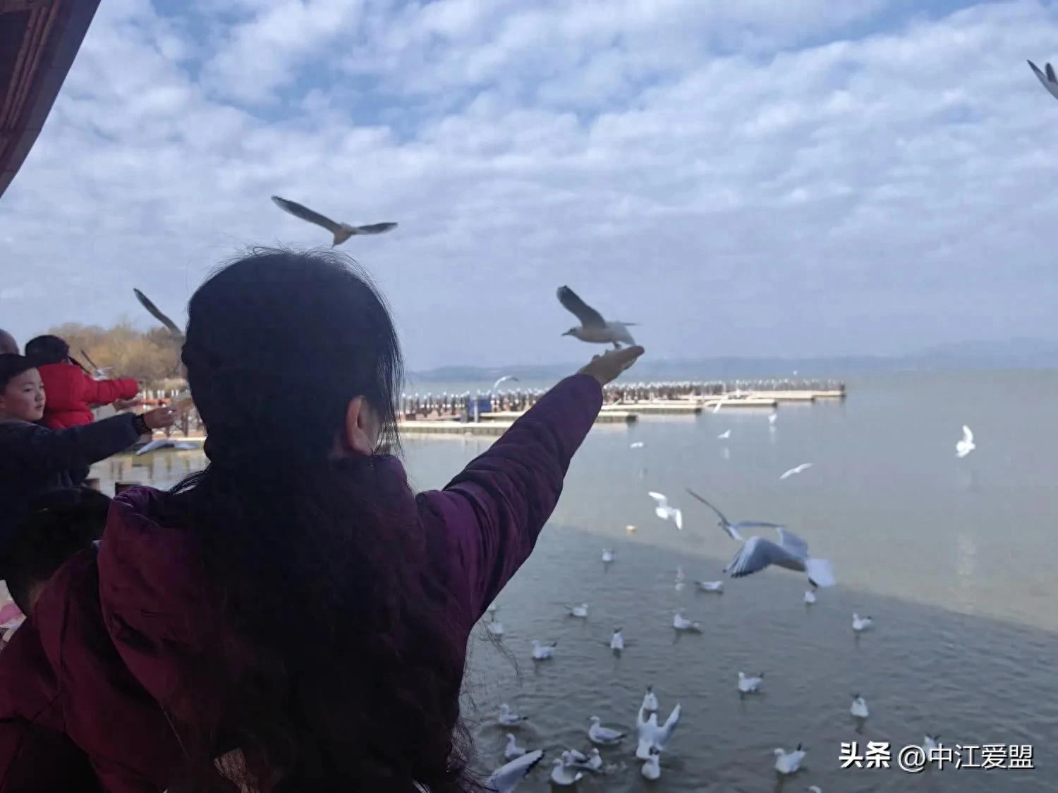 大学生创业项目意向计划书模板