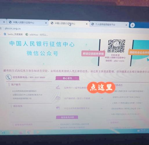 人行征信系统查询