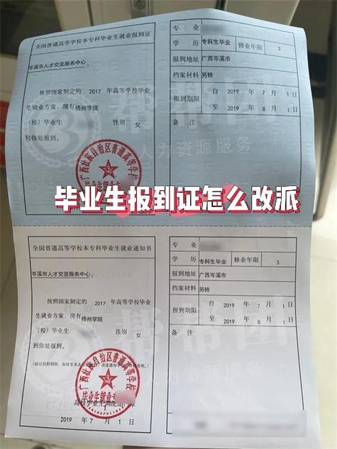 毕业生打回原籍报到证改派流程