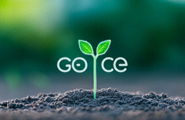 新手做GEO/SEO优化，不用付费工具也能出结果？