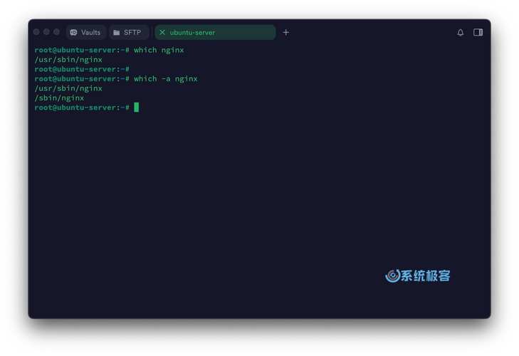 掌握Linux下Java路径获取技巧：一招教你轻松获取系统路径！