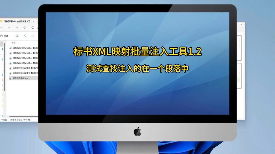 什么工具可以批量检查注入